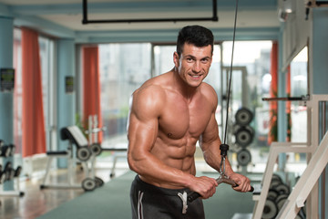 Fototapeta na wymiar Bodybuilder Exercising Triceps