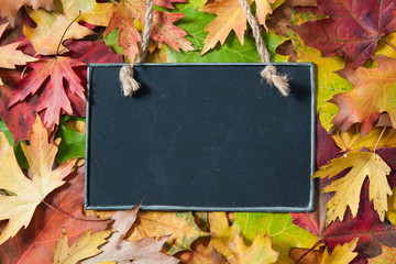 Chalkboard  on autumnal leaves
