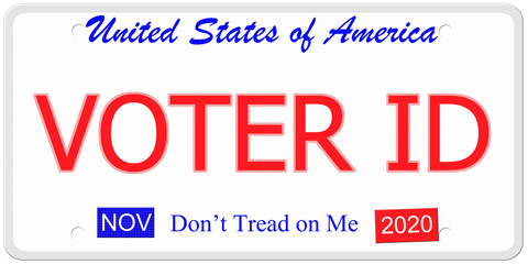 Voter ID license plate