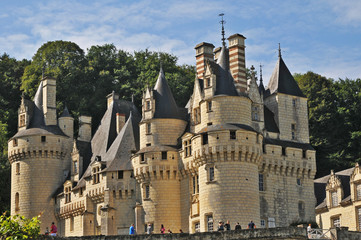 Fototapeta na wymiar Castello di Ussè - Loira, Francia