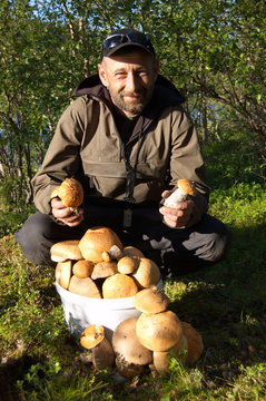 Man with a pail of aspen mushrooms in the forest. Kola Peninsula, Russia.