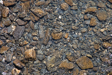 water of a mountain river flows on stones