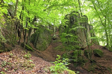 Felsformation im Naturschutzgebiet  Naturschutzgebiet Wartburg-Hohe Sonne
