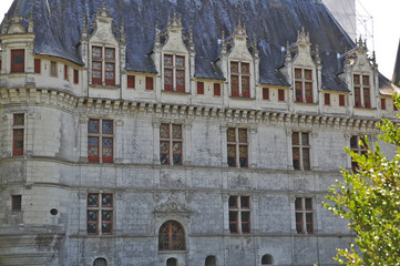 Fototapeta na wymiar Castello di Azay le Rideau - Loira, Francia