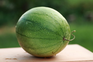 спелый арбуз в каплях воды