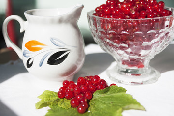 Berries on the table