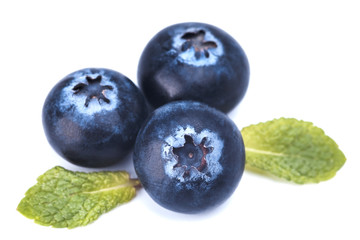 blackberry 