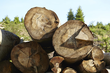Holzstapel