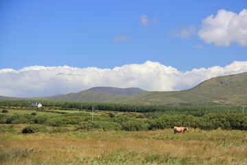 Berge in Irland