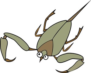 Water scorpion