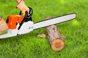Fototapeta premium Chainsaw.