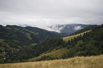 Obraz premium Gorce Mountains