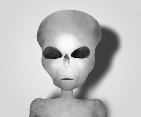 Head of gray alien on white background