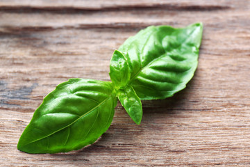Green fresh basil on wooden background