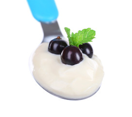 Delicious yogurt in spoon with blackcurrants and mint isolated on white