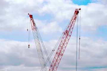two cranes and the sky