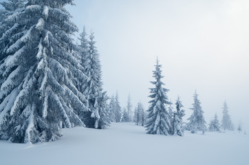 Mountain landscape cloudy day