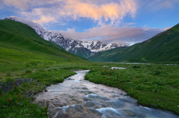 Summer landscape with mountain river