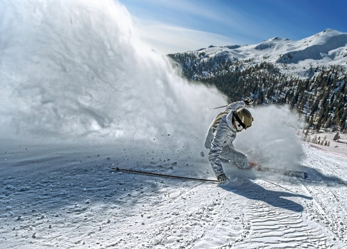 skier brake