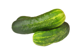 Fresh green cucumber gherkin, isolated on a white background