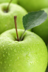 Ripe green apples close up