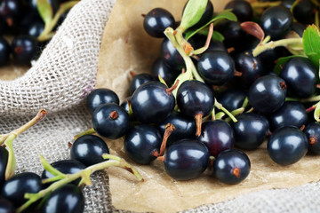 Ripe black currants on sackcloth, closeup