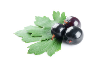 Heap of wild black currant with green leaves isolated on white
