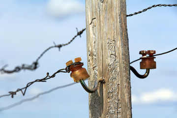 Viehzaun mit Stacheldraht und Strom