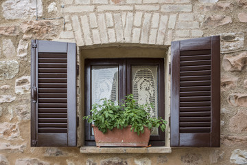 Facade of a stone house with small window and pot with plant
