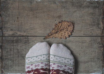 Legs in knitted woolen socks and oak leaf