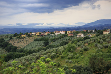Fototapeta premium Panoramic view of Montefalco. Umbria. Italy.