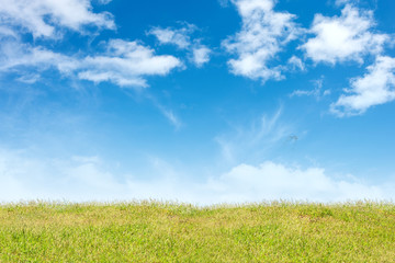 Background grass and sky