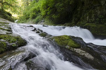 Fototapeta premium Sweet Creek Cascade