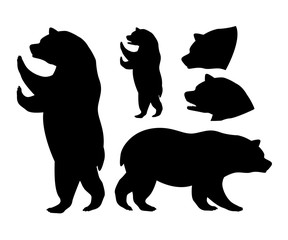 Bear design