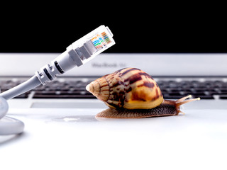 Snail with rj45 connector symbolic photo for slow internet conne