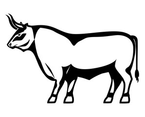 Bull design