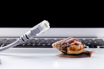 Snail with rj45 connector symbolic photo for slow internet conne