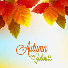 Autumn Background