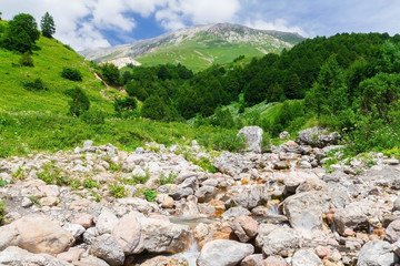 Fototapeta na wymiar Brook in the North Caucasus.