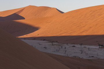 Fototapeta na wymiar Shadows cover the claypan at Deadvlei as the sun rises over the dunes at Sossousvlei, Namibia. 