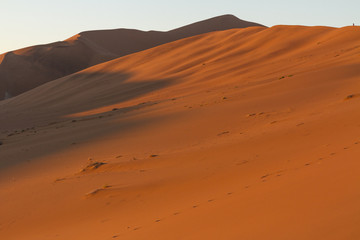 Fototapeta na wymiar Sunrise through shadows on Dune 24, Big Daddy, at Sossousvlei, Namib Naukluft Park, Namibia, Africa