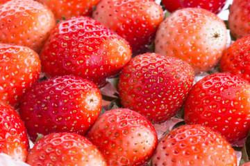 strawberry fresh fruits