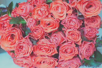 red rose on white table