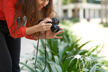 Photographing flower