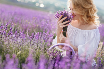 Beautiful woman in a field of blossoming lavender - obrazy, fototapety, plakaty