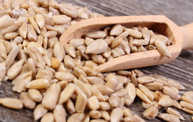 Sunflower seeds with spoon on wooden background