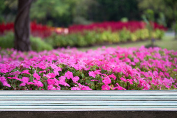 eautiful flower garden in motion blurred and vintage wood plank