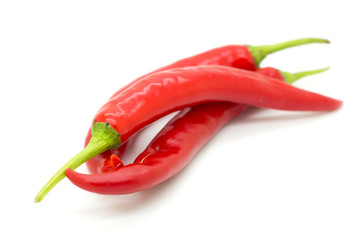 Hot red chili or chilli pepper isolated.