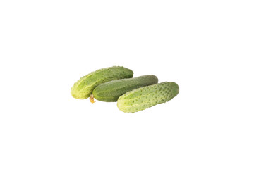 Cucumber. Close-up.