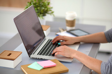 Obraz na płótnie Canvas Young businesswoman working on a laptop